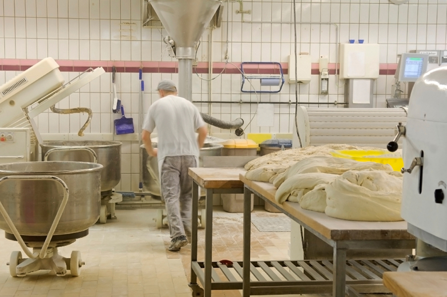 Food Processing Equipment Food Processing Equipment